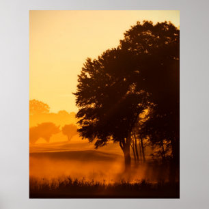 Póster Mañana encantada