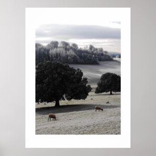 Póster Mañana helada