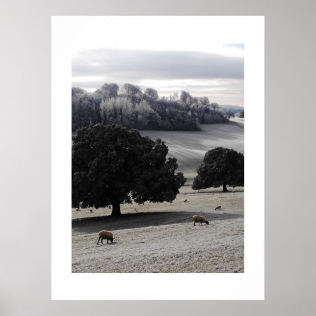 Póster Mañana helada (Frente)