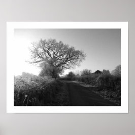 Póster Mañana helada: Cheshire