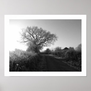 Póster Mañana helada: Cheshire