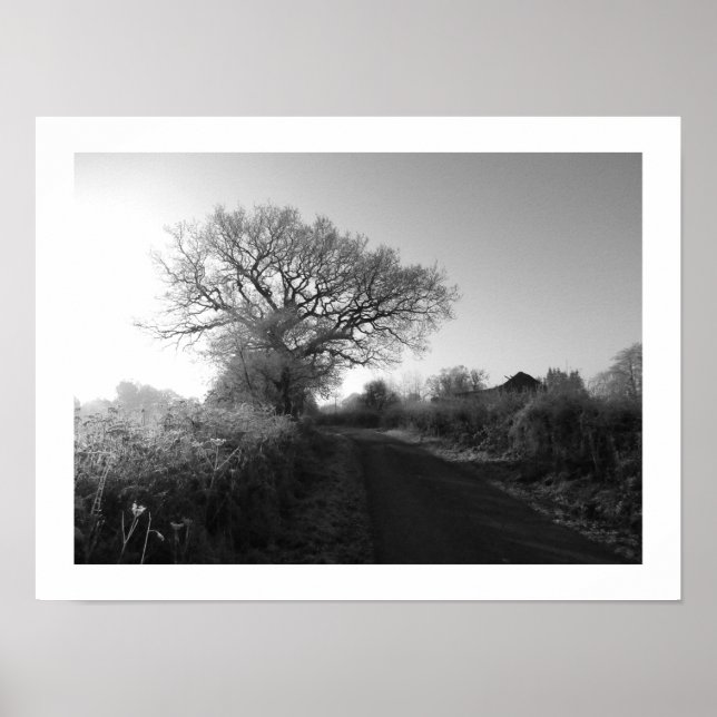 Póster Mañana helada: Cheshire (Frente)