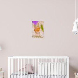 Póster Mañana maltesa curiosa