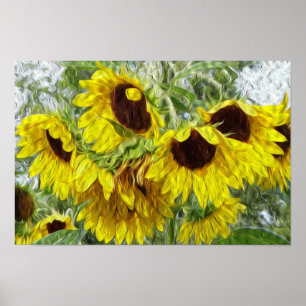 Póster Mañana soleada del girasol