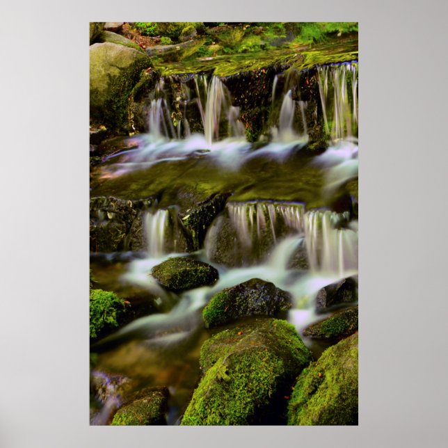 Póster Manantial de helechos, Parque Nacional Yosemite, C (Frente)
