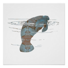 Póster Manatee