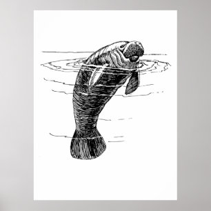 Póster Manatee poster