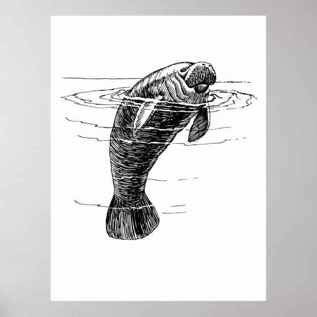 Póster Manatee poster (Frente)