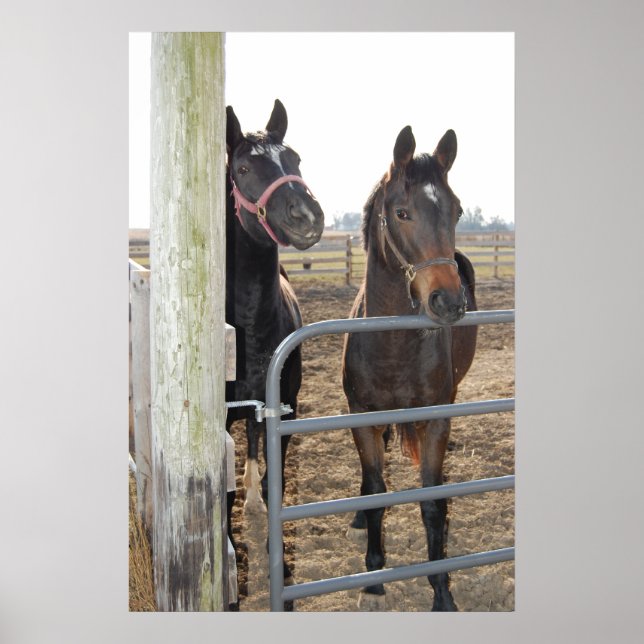 Póster Mancha de caballos (Frente)