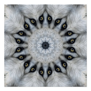 Póster Mandala de Lobo Ojos Feroces y Simetría Peluda