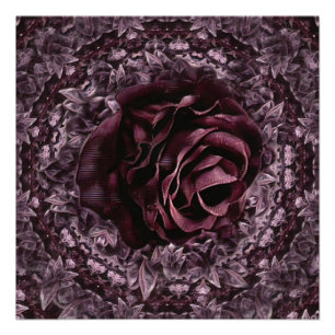 Póster Mandala de rosa 