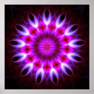 Póster Mandala Ho'onoho 2