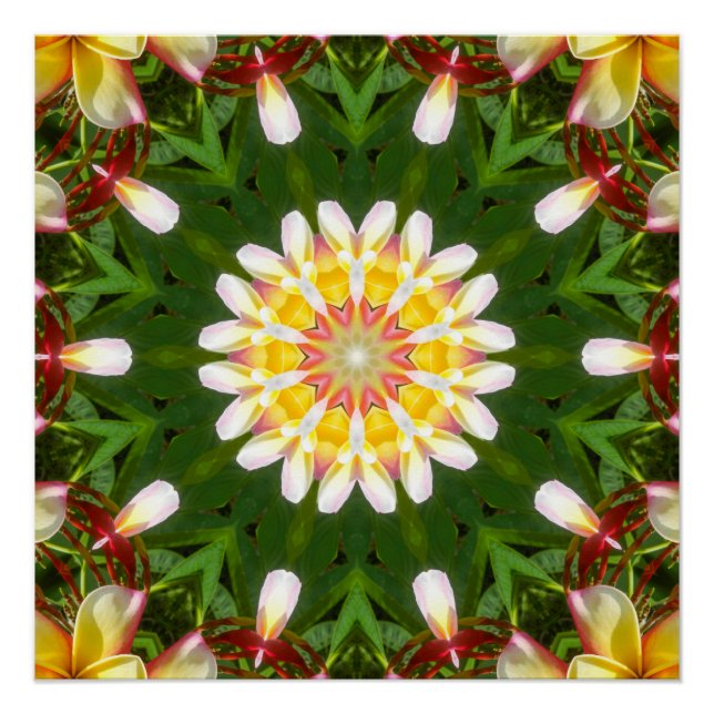 Póster Mandalas de flores de Plumeria con simetría tropic (Anverso)