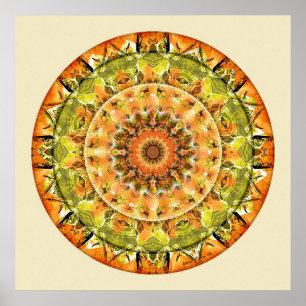 Póster Mandalas de la confianza profunda, no. 10
