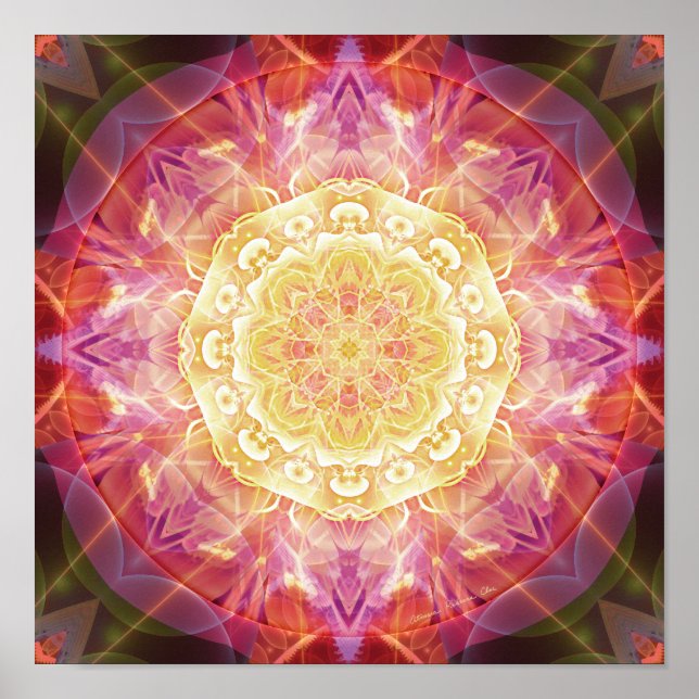 Póster Mandalas de perdón y liberación 9 Poster (Frente)