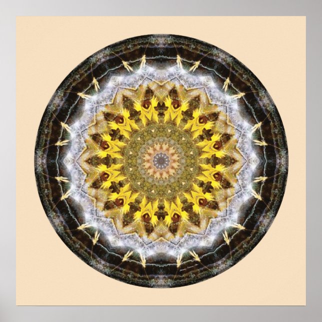 Póster Mandalas desde el Corazón de la Paz, No. 11 (Frente)