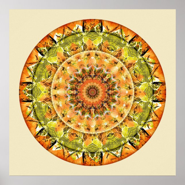 Póster Mandalas of Deep Trust, No. 10 (Frente)
