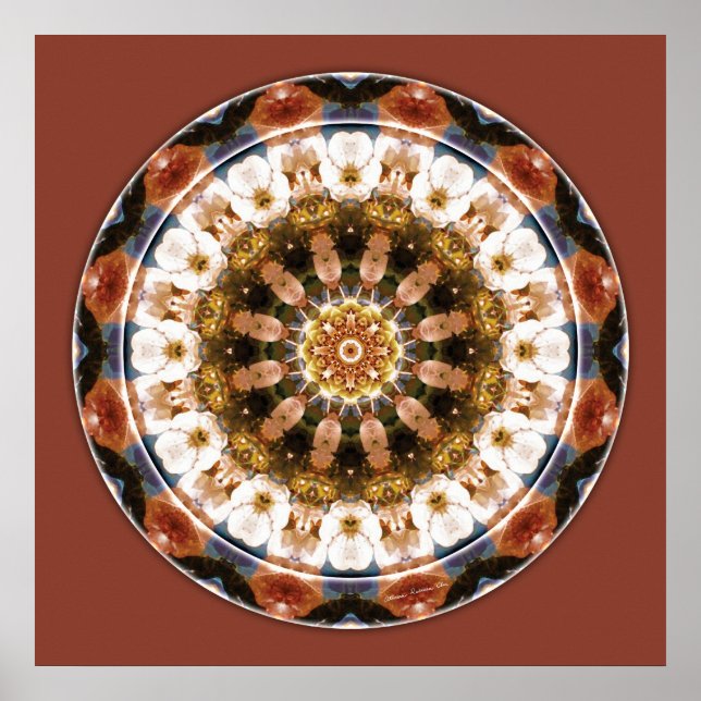 Póster Mandalas of Deep Trust, No. 11 (Frente)