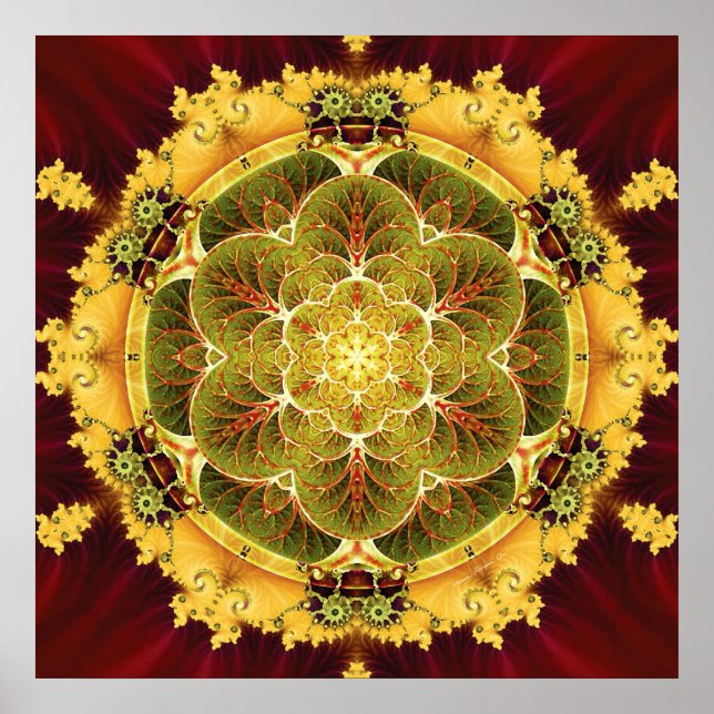 Póster Mandalas para tiempos de transición 8 Poster (Frente)