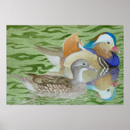 Póster Mandarin Ducks en un lago