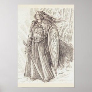 Póster Mando de Avalon