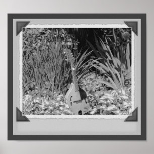 Póster Mandolin Iris Garden Instantánea en blanco y negro