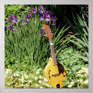 Póster Mandolin Y Jardín De Flores Iris