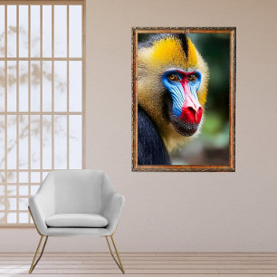 Póster Mandrill