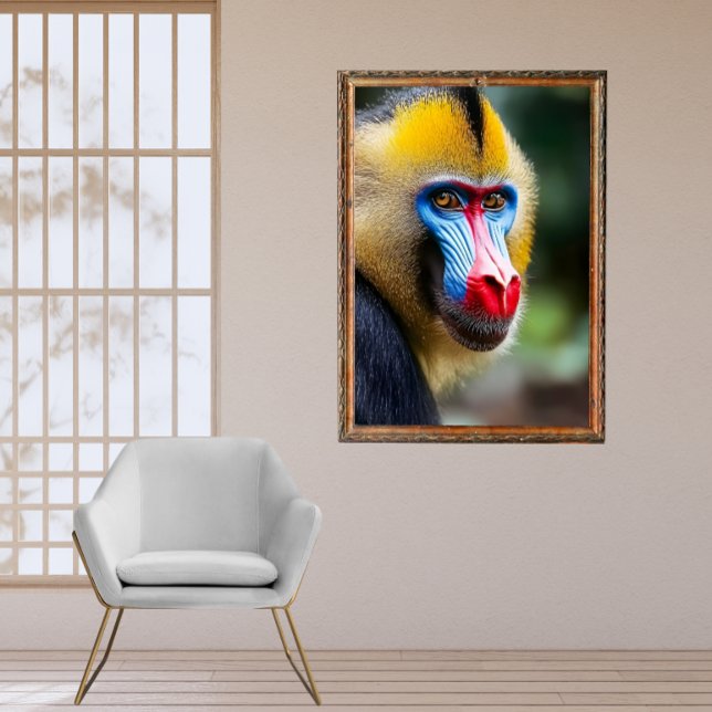 Póster Mandrill (Subido por el creador)