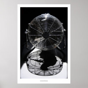 Póster Mandrill Fan BW Still Life Photography L Poster