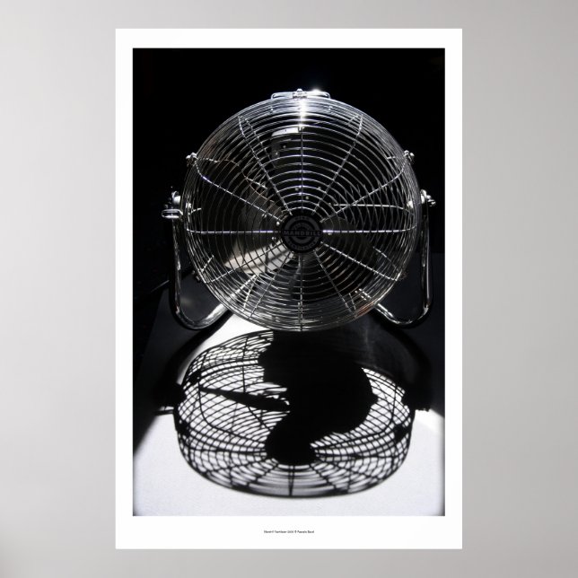 Póster Mandrill Fan BW Still Life Photography L Poster (Frente)
