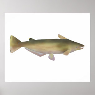 Póster Manduba