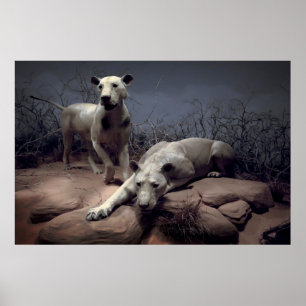 PÓSTER MANEANDO LONES DE TSAVO