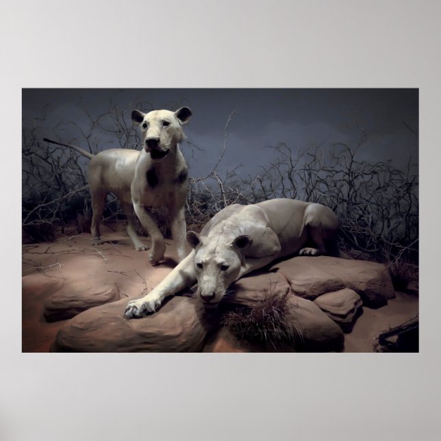 PÓSTER MANEANDO LONES DE TSAVO (Frente)