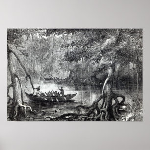 Póster Mangle Forest
