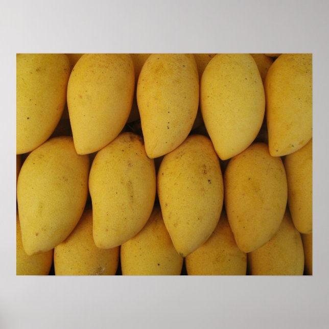 Póster Mango (Frente)