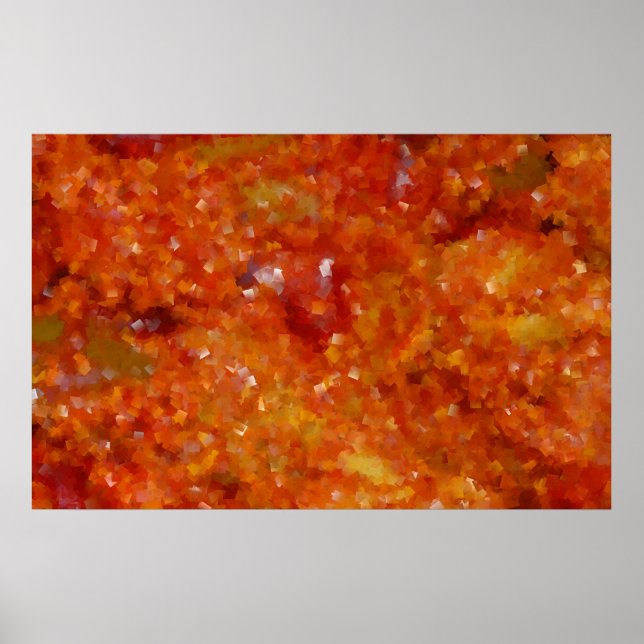 Póster Mango Pickle v2.4 (Frente)