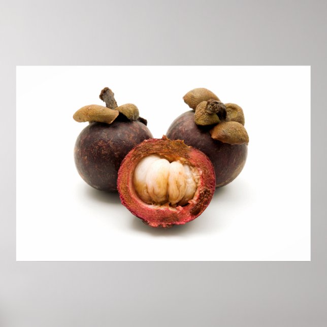 Póster Mangosteen púrpura (Frente)