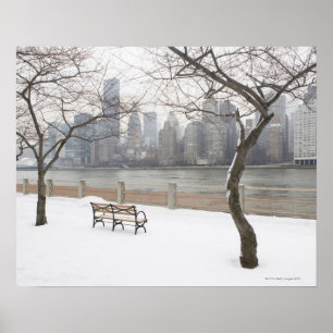 Póster Manhattan en invierno