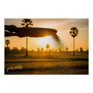Póster Manos Cernido Granos Paisaje Rural