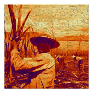 Póster Manos de campo que cosechan la caña de azúcar