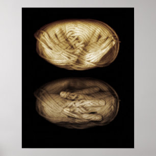 Póster Manos de los niños 2013