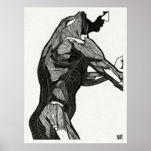 Póster Man's Anatomy 4