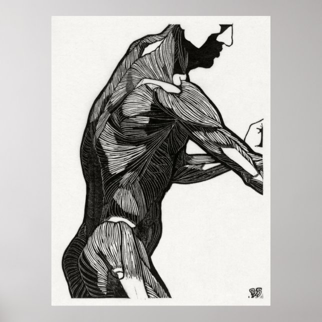 Póster Man's Anatomy 4 (Frente)