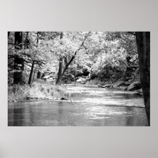 Póster Mansker Creek