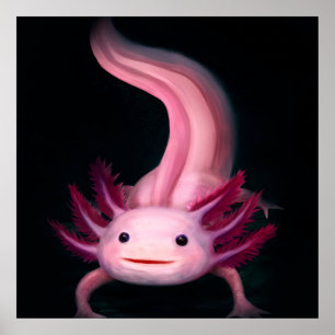 Póster Manta Axolotl   Idea de regalo