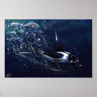 Póster Manta Ray