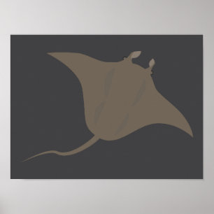 Póster Manta raya