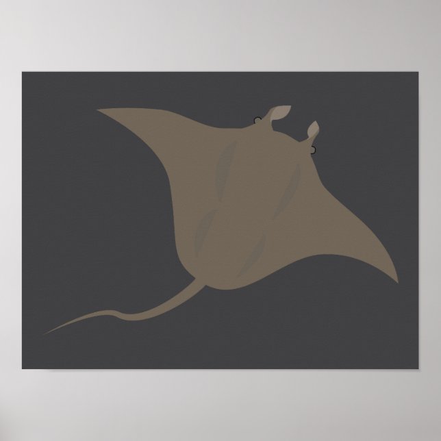 Póster Manta raya (Frente)
