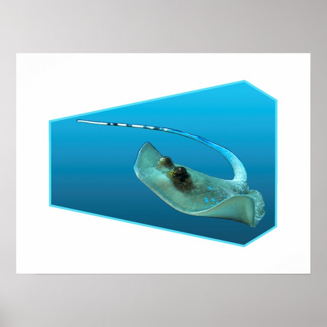 Póster ¡Mantarraya moviéndose! Diseño de fondo degradado  (Frente)